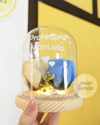 Redoma de vidro