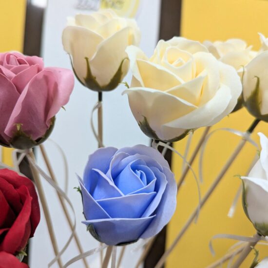 XM01DD (15) XM01DD (15)